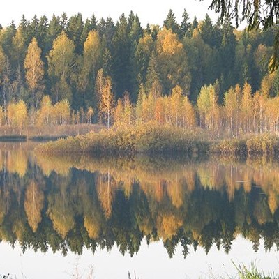 Парк-отель  "Огниково" - Пляж
