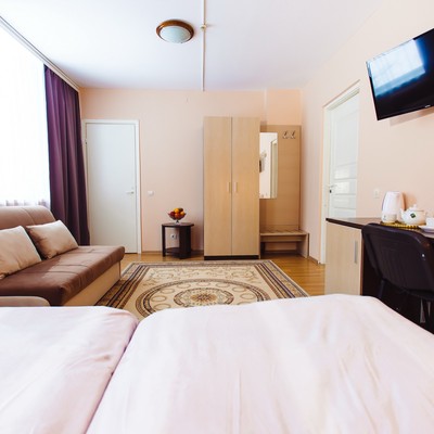 Вятичи ECO resort & Medical SPA - Полулюкс с раздельными кроватями корпус 4,5