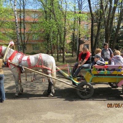 Санаторий "Сосны" ВОС - Конный клуб