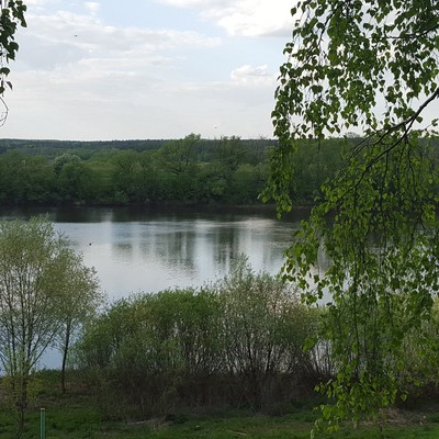 «Orchestra OKA Spa Resort» / «Оркестра Ока Спа Резорт» отель (бывш. сан. Каширские роднички) - Река Ока
