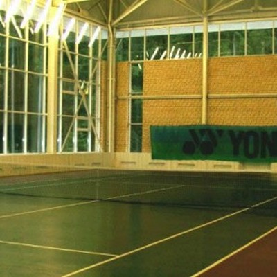 пансионат "Лесные дали" (Рублево -Звенигородский ЛОК) УДП РФ - Спортивный зал