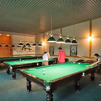 Гостинично-санаторный комплекс "Alex Resort & Spa Hotel" - Бильярд