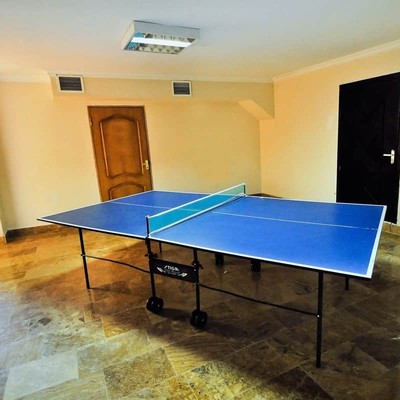 Лечебно-оздоровительный комплекс «Горный воздух» - Настольный теннис