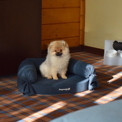 СПА отель "LES art resort" - Pet Suite
