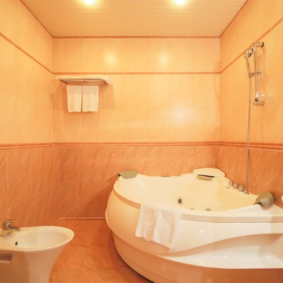 «Тропикана Парк» загородный комплекс - Люкс тематический Сафари/Special Suite Safari