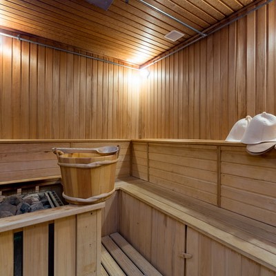 пансионат "Лесные дали" (Рублево -Звенигородский ЛОК) УДП РФ - Сауна