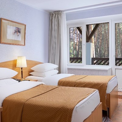 Отель Country Resort - Стандарт TWIN/DBL