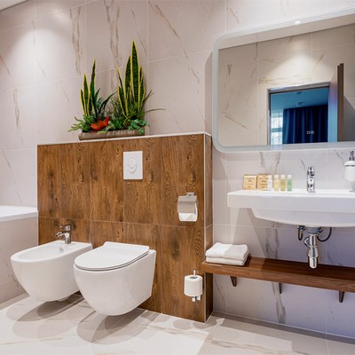 Отель GreenDorf Hotel&SPA - Люкс двухкомнатный