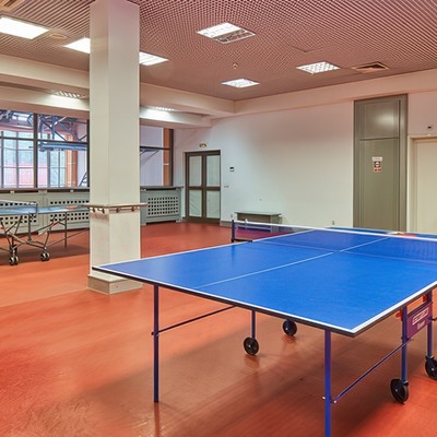 Пансионат с лечением "Заря" - Настольный теннис
