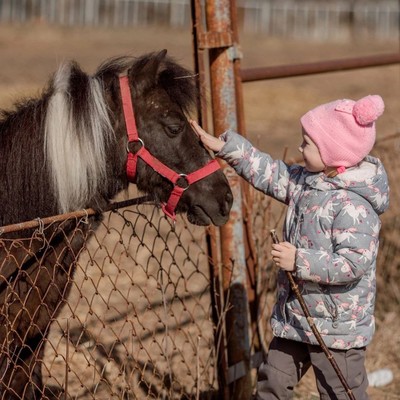 Пансионат с лечением "Заря" - Конный клуб