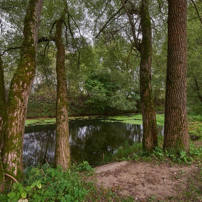 Пансионат с лечением "Заря" - Пруд