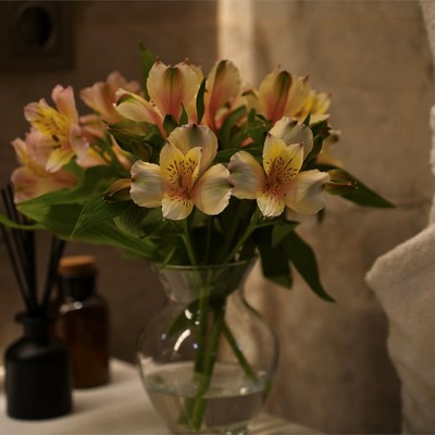 Ashamta HOTEL & SPA Afon - Junior suite with balcony park v./mount.v