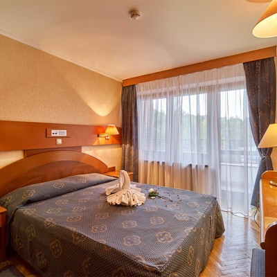 Пансионат с лечением "Заря" - 2-комнатный Полулюкс