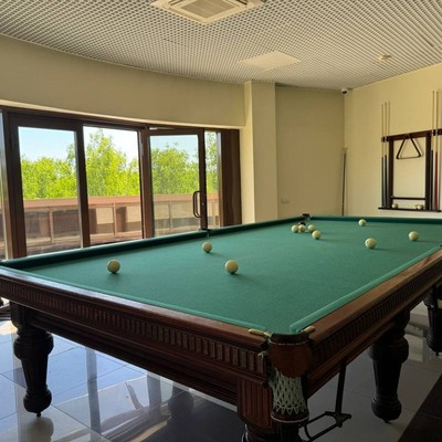 Санаторий "Елочки" ФГБУ "МФК Минфина Россия" - Бильярд