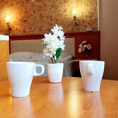 Вятичи ECO resort & Medical SPA - Люкс-студио