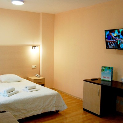 Вятичи ECO resort & Medical SPA - Полулюкс