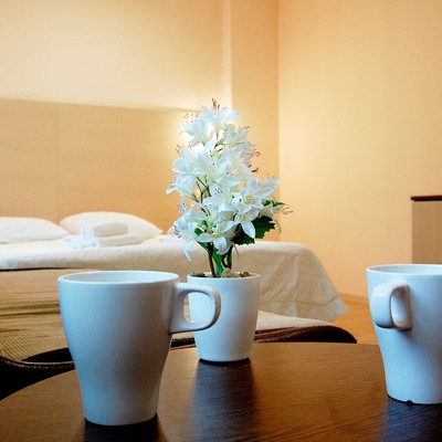 Вятичи ECO resort & Medical SPA - Полулюкс