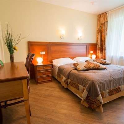 Санаторий "Елочки" ФГБУ "МФК Минфина Россия" - Люкс 2-местный 2-комнатный