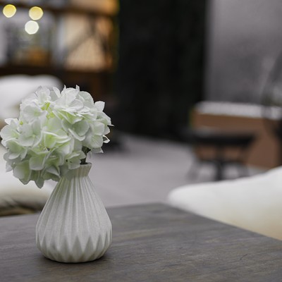 Санаторий "Елочки" ФГБУ "МФК Минфина Россия" - Кафе «Зимний сад»