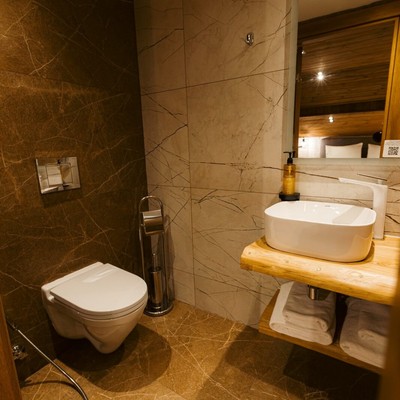 Гостиница GRIZZLY - Большой двухкомнатный люкс