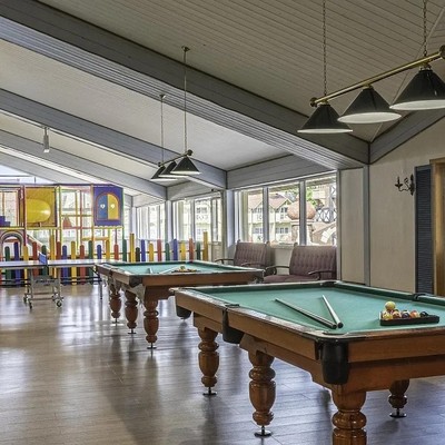 ALEAN FAMILY RESORT & SPA DOVILLE - Бильярд