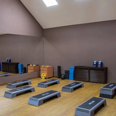 ALEAN FAMILY RESORT & SPA DOVILLE - Фитнес-зал