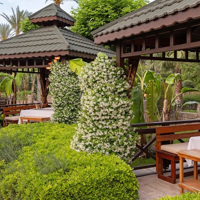 Dobedan World Palace (Ex. Brand Alva Donna World Palace) - Sofra Turkish Cuisine