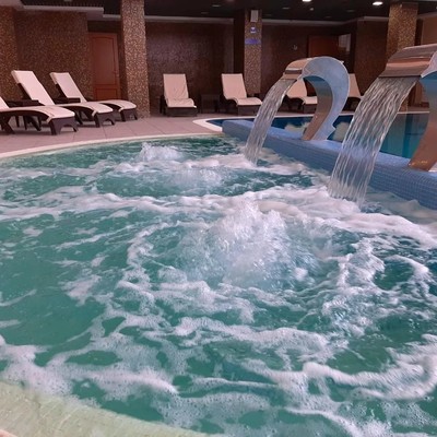 Парк-отель "Лазурный берег на оке" - Бассейн