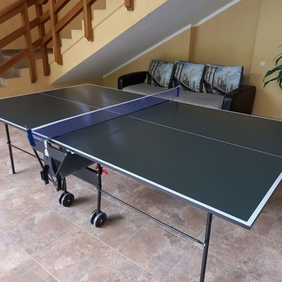 Парк-отель "Лазурный берег на оке" - Настольный теннис