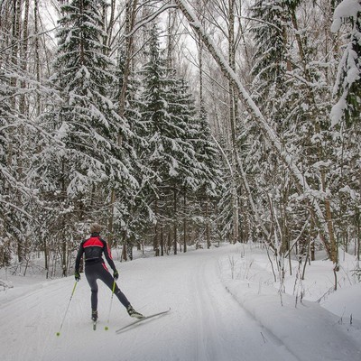 Вятичи ECO resort & Medical SPA - Лыжня